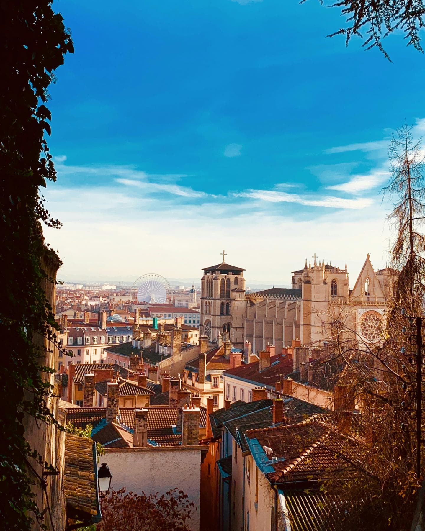 Student Life in Lyon: What It’s Like to Study in France’s Culinary Capital