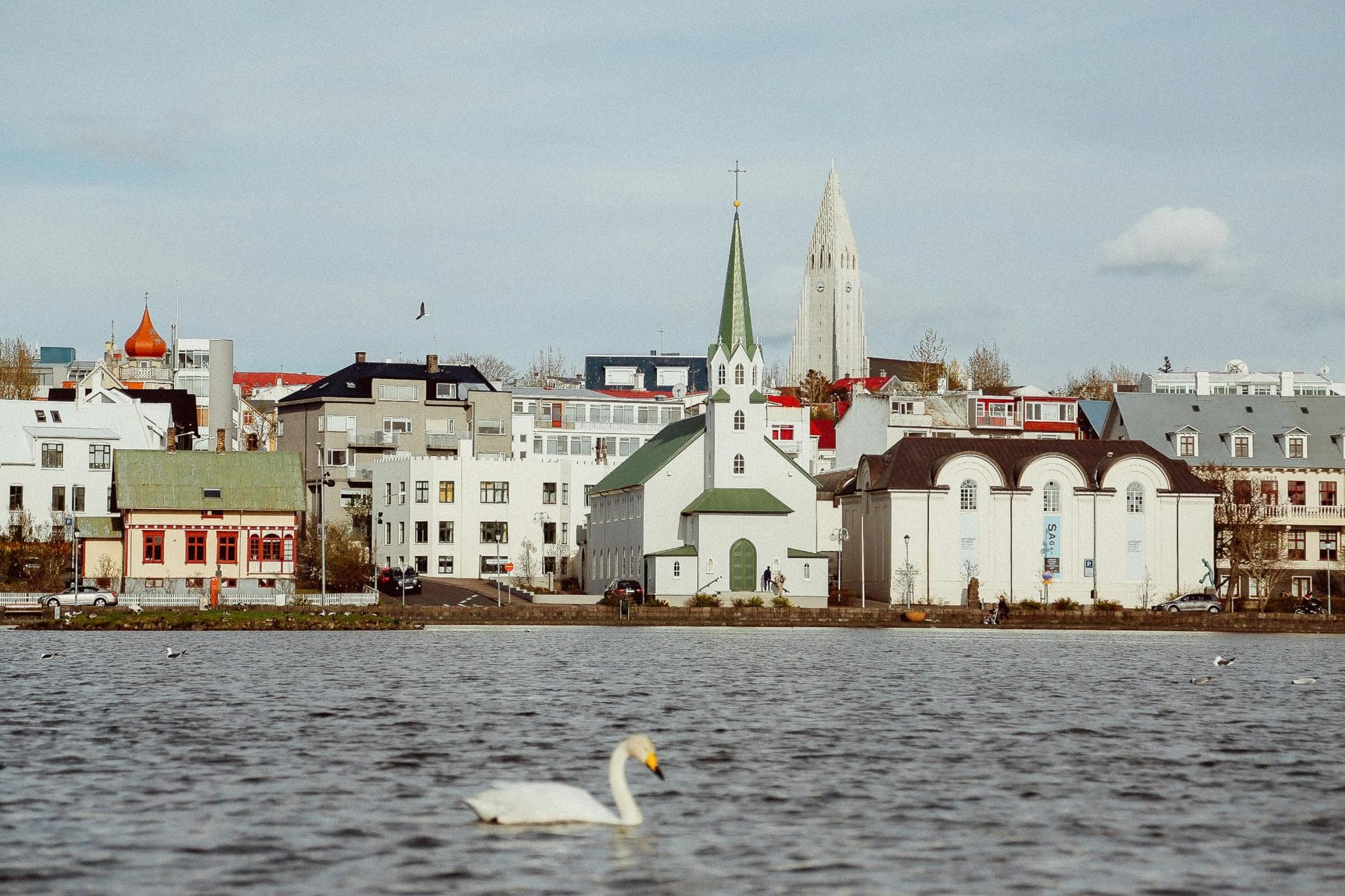 Reykjavik Study Abroad Survival Guide: What Every Student Should Know