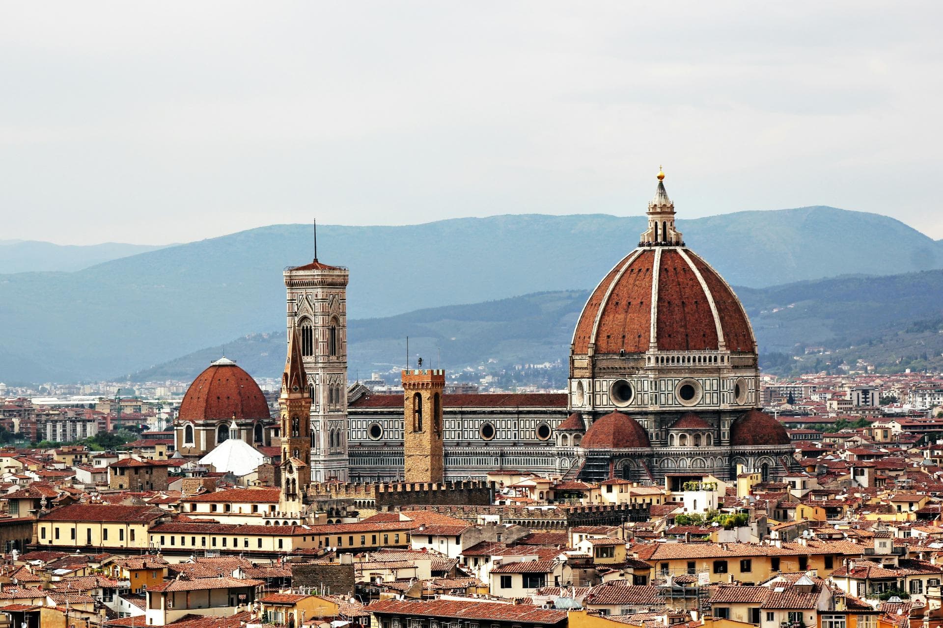 Study Abroad in Florence: A Complete Student Guide to Living, Learning, and Exploring the Renaissance City
