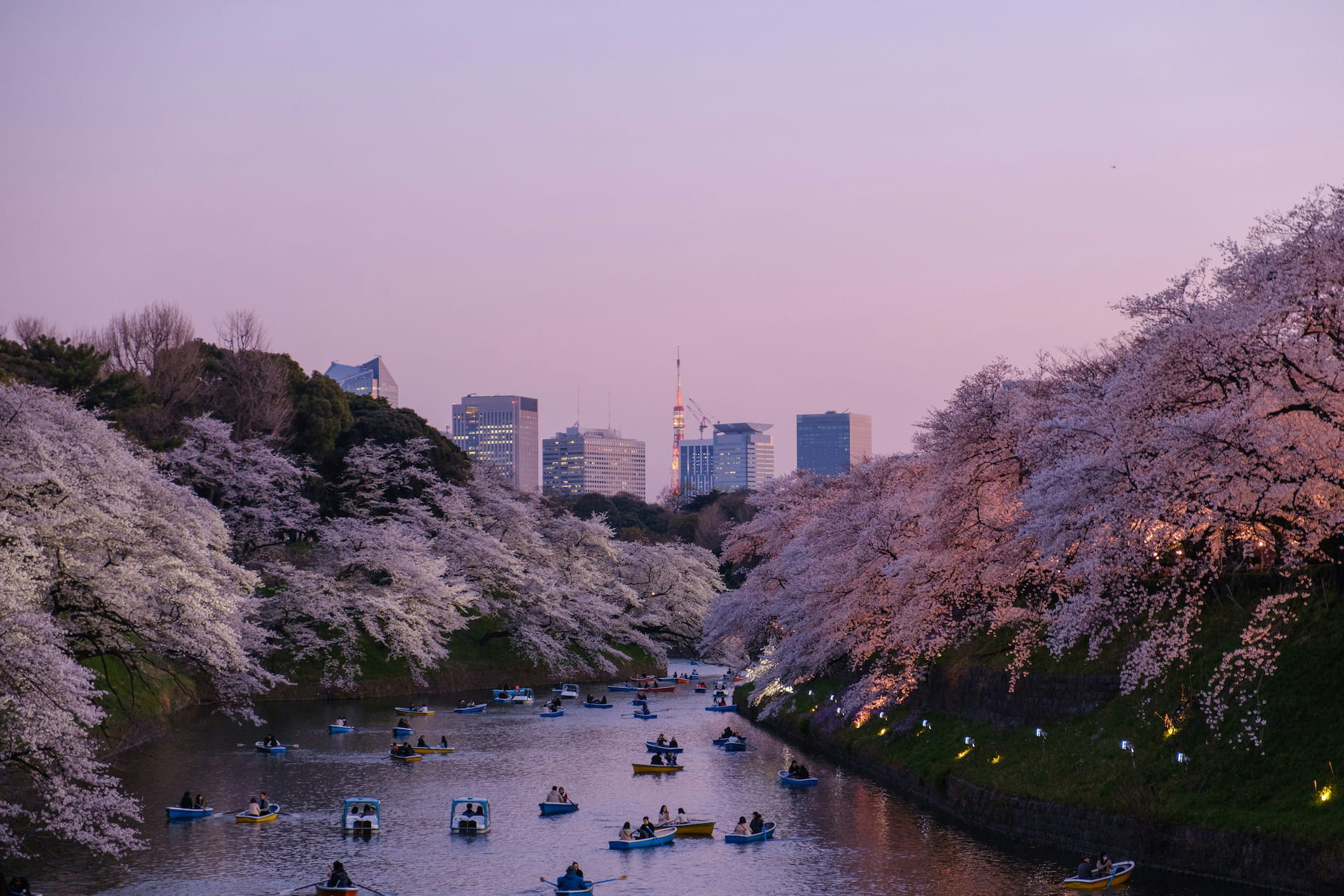 View of Japan